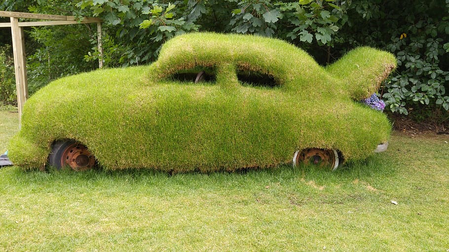 car, grass, vehicle, fun, plant, green color, field, mammal HD wallpaper