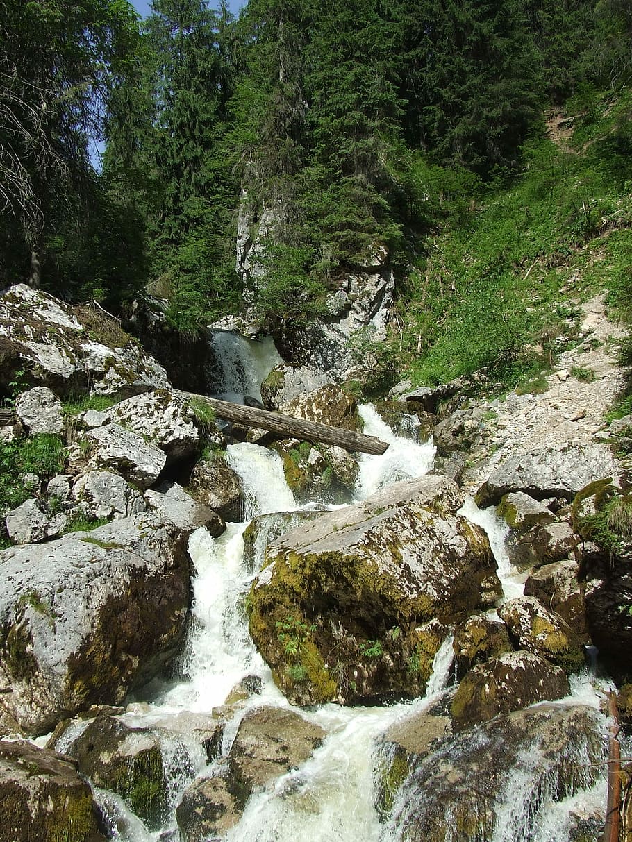 Waterfall, Karst, Stream, Forest, Nature, transylvania, padis HD wallpaper