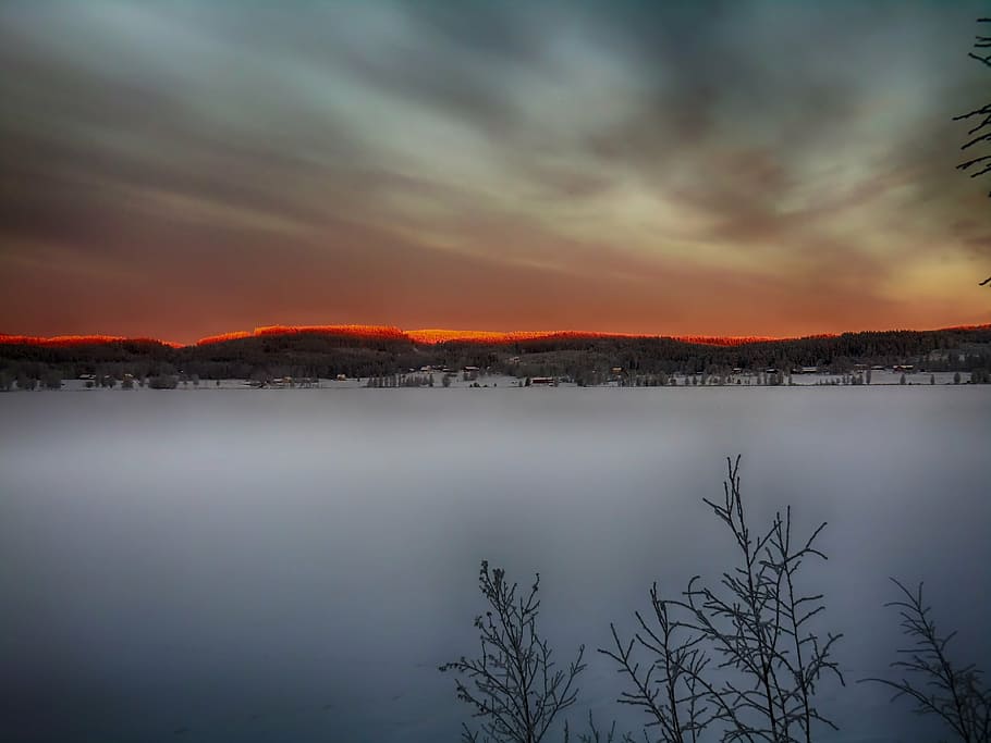 plant surround snow during sunset, forest, trees, woods, landscape HD wallpaper