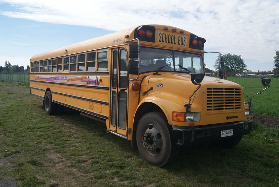 bus, school, yellow, mode of transportation, land vehicle, public transportation HD wallpaper