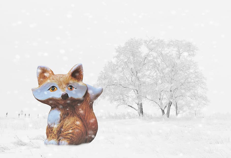 winter, snow, fuchs, wintry, white, tree, cold, snowy, nature HD wallpaper
