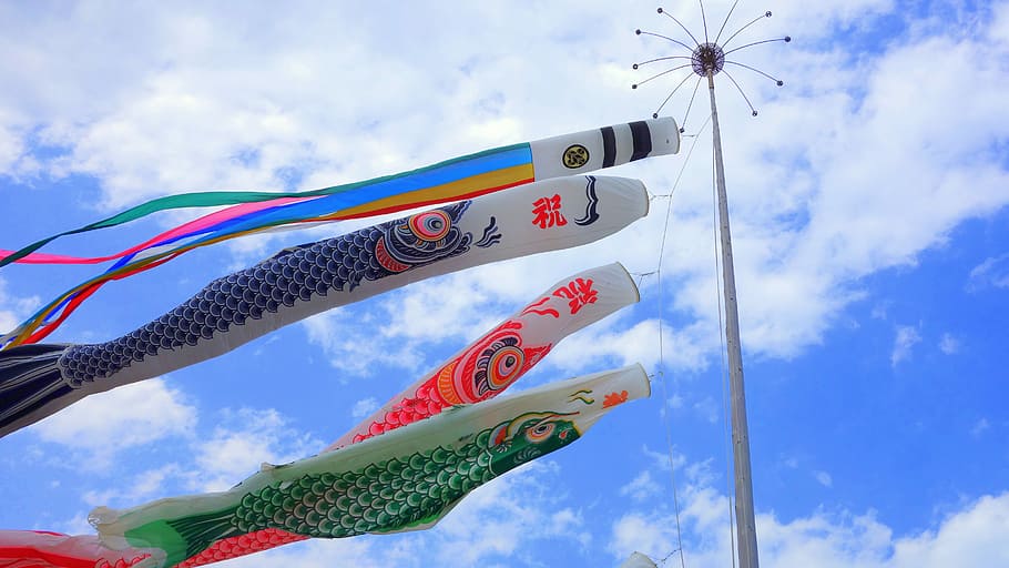 four assorted-color fish kites hanging on pole, Carp, Streamer HD wallpaper