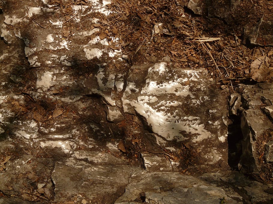 rock, stone, greasy, limestone, sanded, ceded, slippery, scaled-kicks HD wallpaper