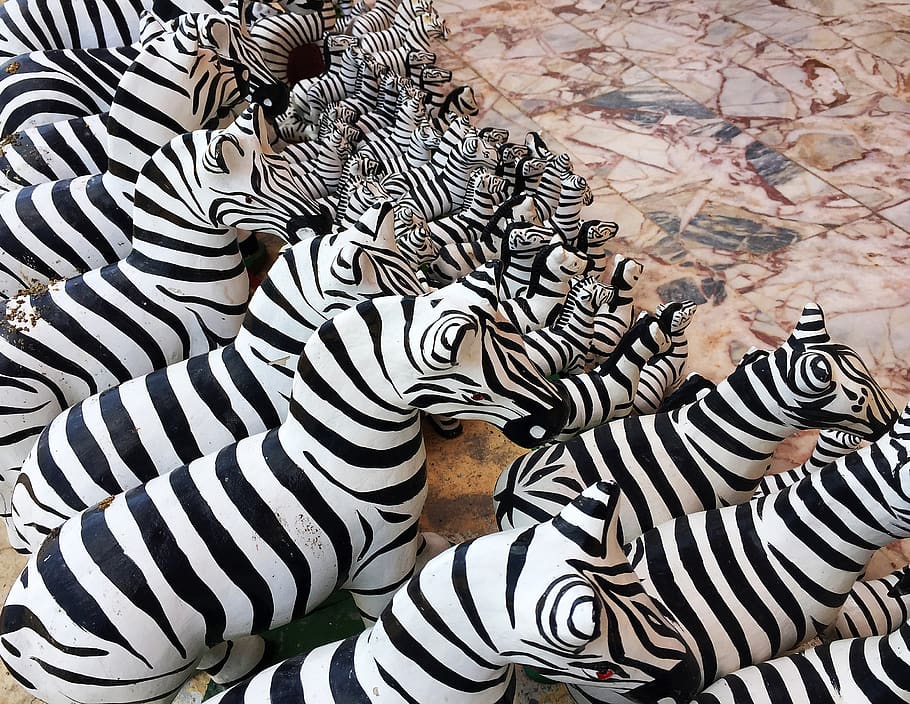 zebra, pattern, natural, wildlife, expensive, striped, no people HD wallpaper