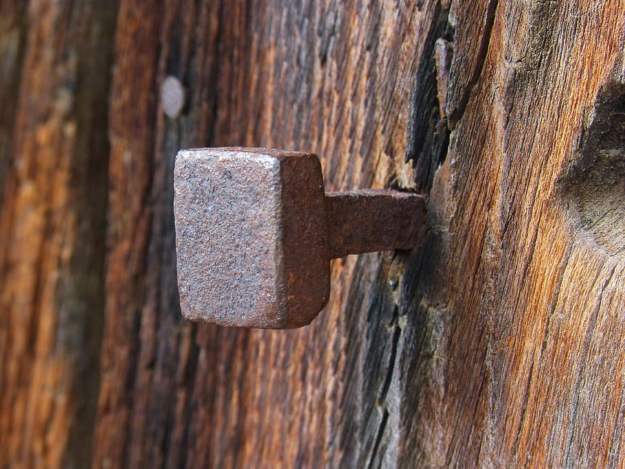 brown nail on brown wood, old, rusty, door, log, iron, texture HD wallpaper