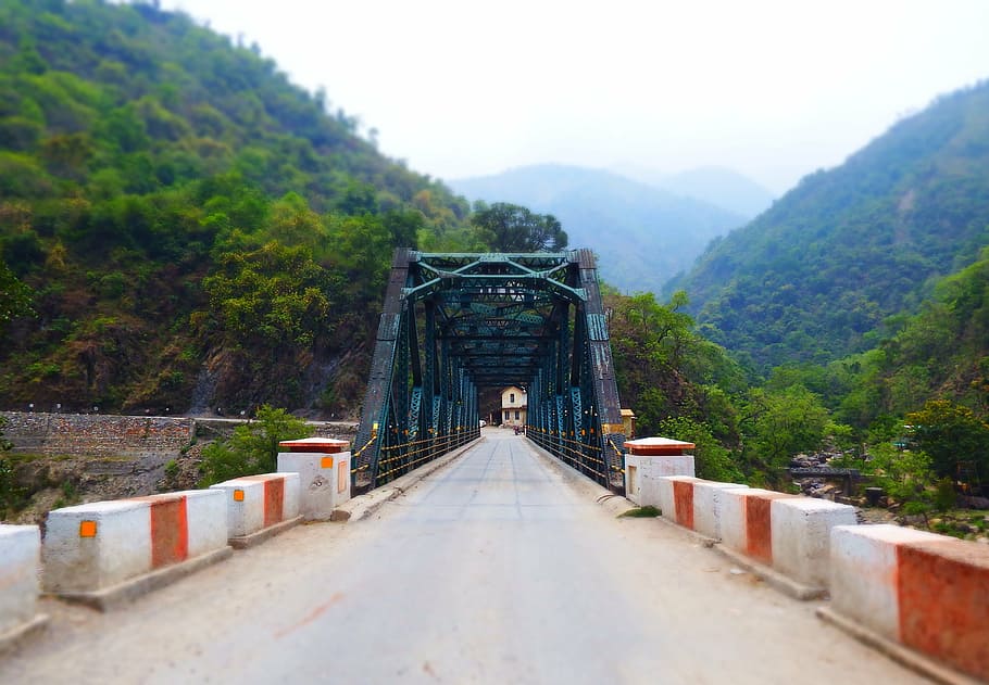bridge, landscape, nature, the way forward, tree, direction HD wallpaper