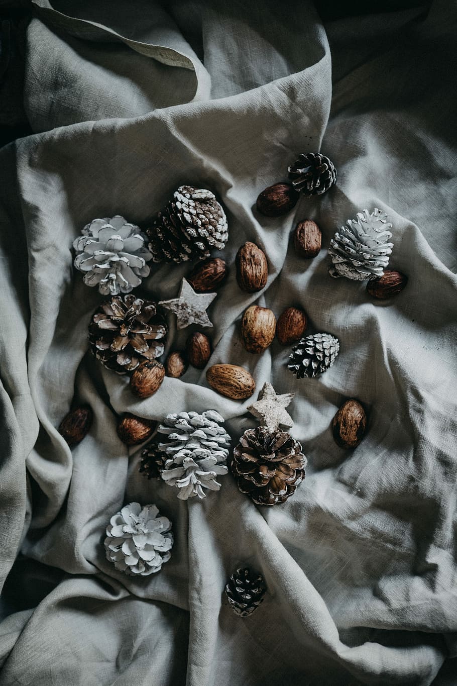 pinecone and nut on top of blanket, white pinecones on top of gray textile HD wallpaper