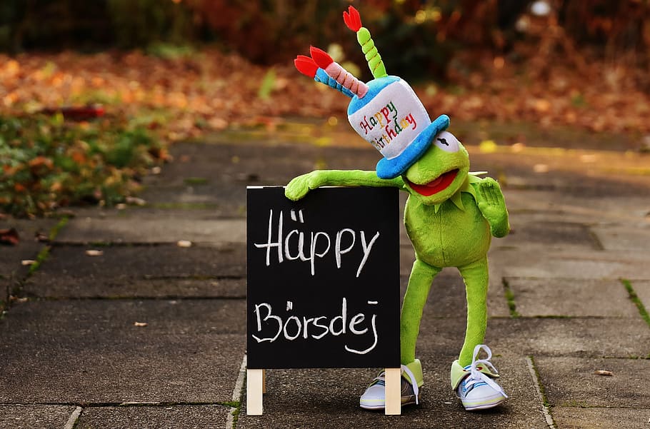 Kermit the Frog holding signboard, birthday, congratulations