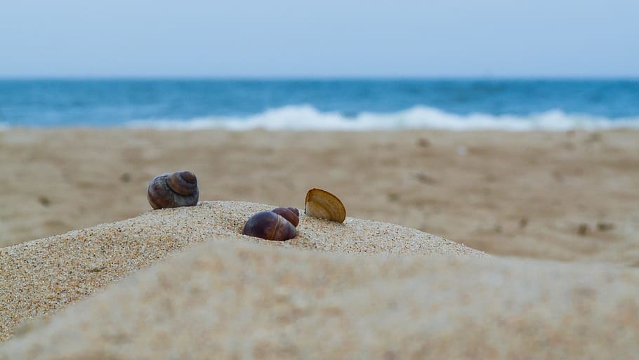 beach, sand, sea, the coast, water, the stones, nature, blue, HD wallpaper