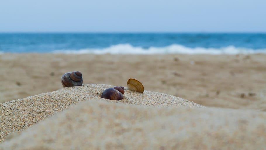 beach, sand, sea, the coast, water, the stones, nature, blue HD wallpaper