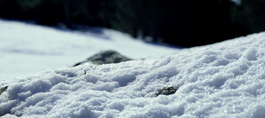 close up photography of snow field, ice, nevada, winter, cold, HD wallpaper