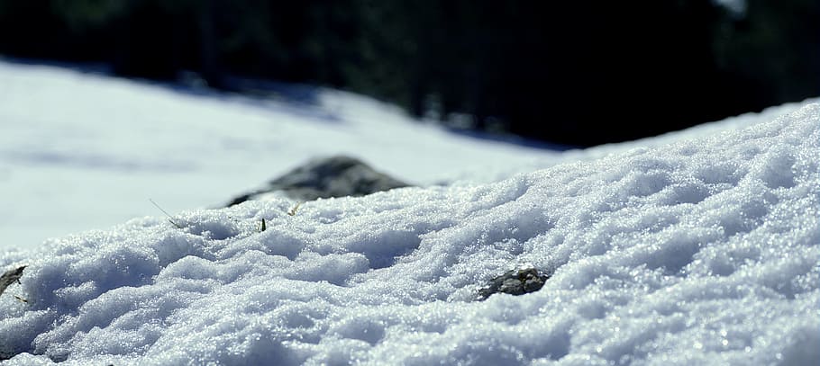close up photography of snow field, ice, nevada, winter, cold HD wallpaper