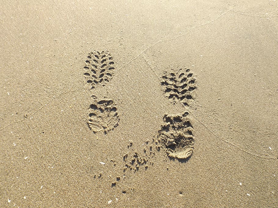 beach, i took, holiday, work, people, path, high angle view HD wallpaper