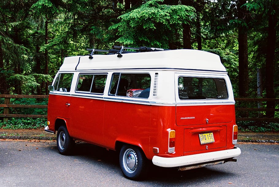 white and red van parked near trees, white and red Volkswagen Samba parked near forest HD wallpaper
