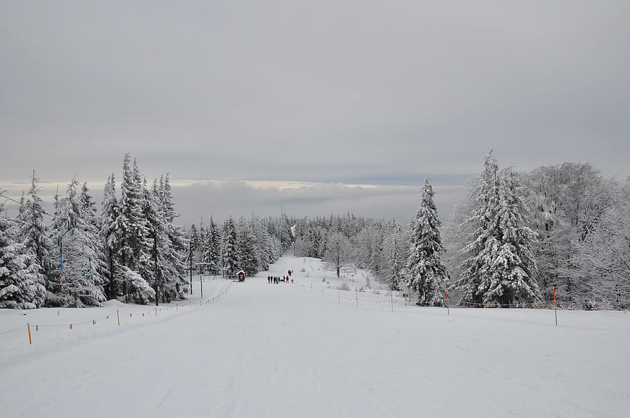 Mountains, Winter, Snow, Landscape, white, one, poland, cold temperature HD wallpaper
