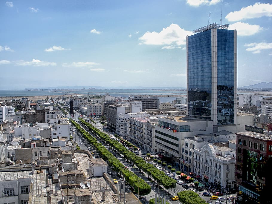aerial photography of urban city during daytime, tunis, tunisia, HD wallpaper