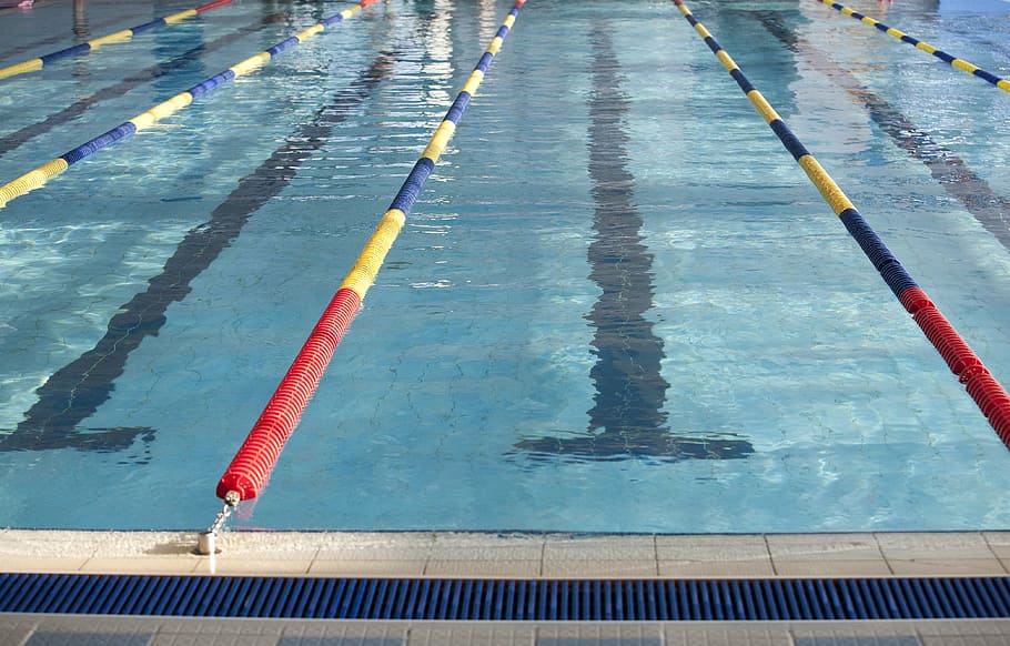 swimming, exercise, pool, swimming Lane Marker, water, swimming pool HD wallpaper