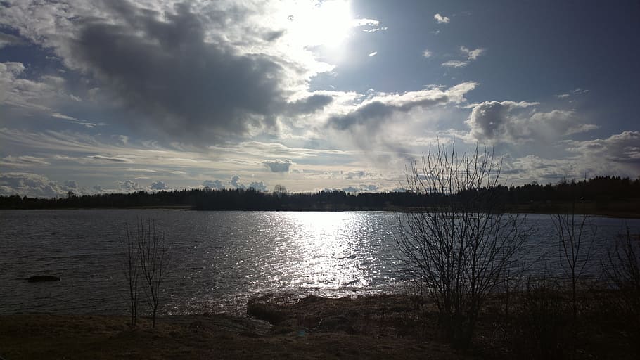 sun, clouds, sunset, sky, blue, blue sky, spring, branches HD wallpaper