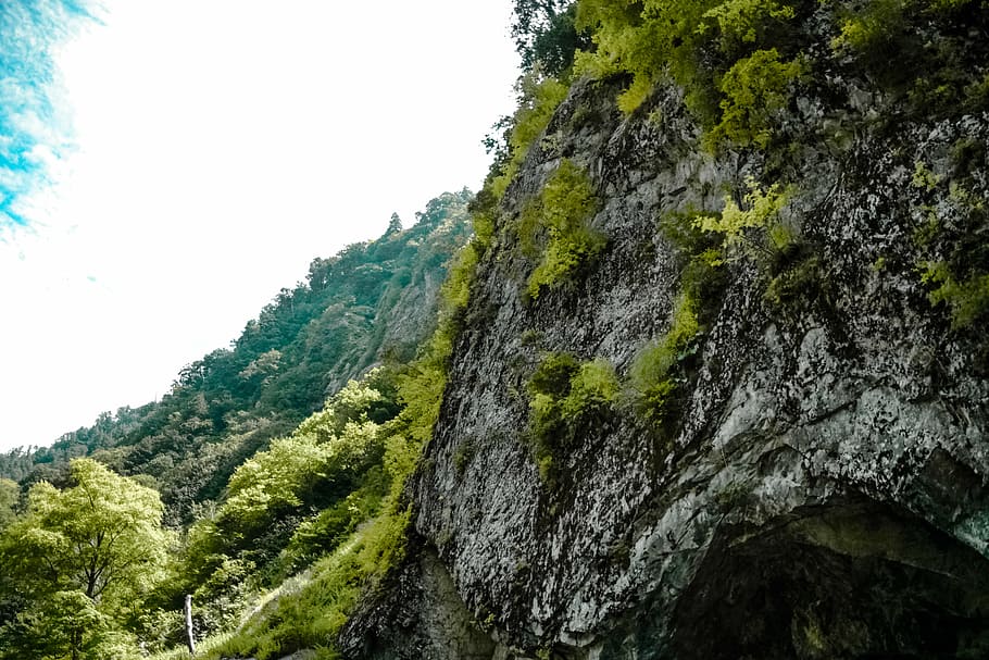 greenery, mountain, nature, rocks, sky, forest, tree, landscape HD wallpaper