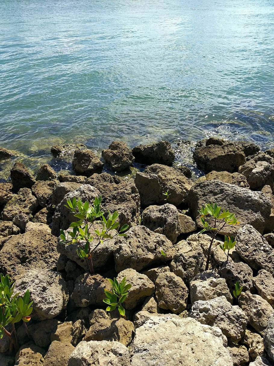 ocean, water, rocks, florida, scenery, beautiful, solid, rock - object HD wallpaper