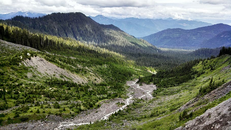 river at valley, forest, mount baker, snoqualmie, washington HD wallpaper