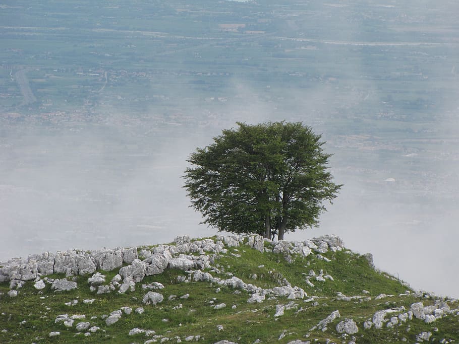 tree, clouds, mountain, landscape, sky, blue, the form of clouds HD wallpaper