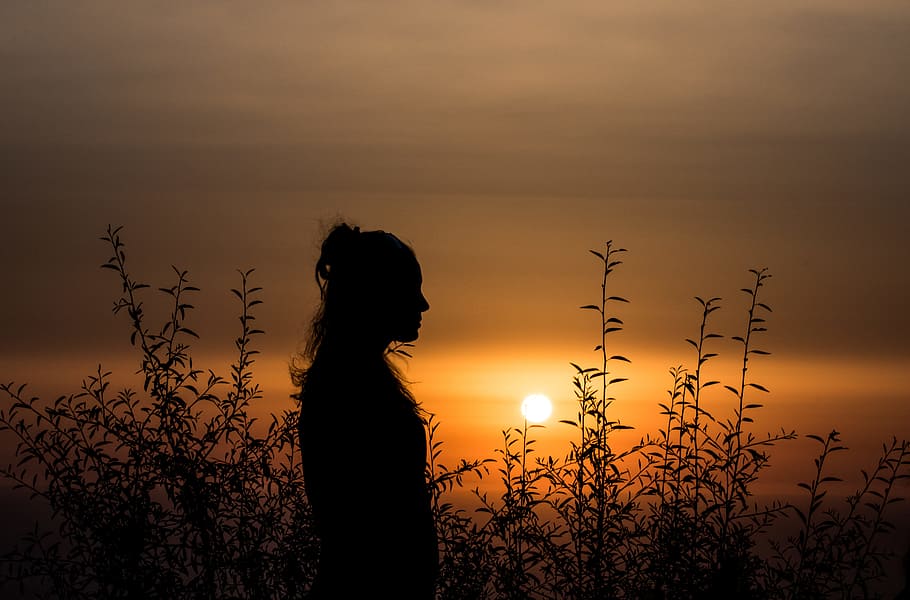 silhouette of person standing near plants, person standing in tall grass field during sunset