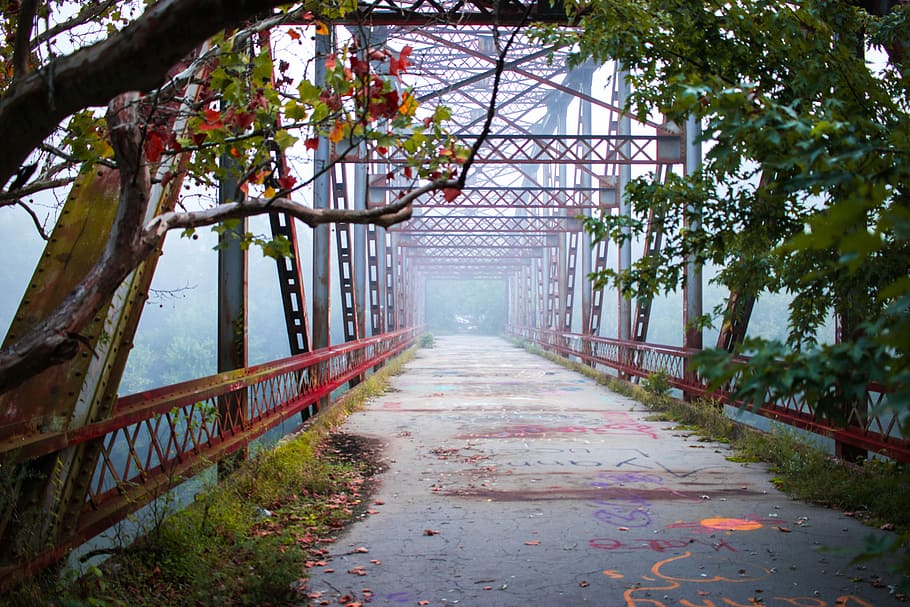 red and gray bridge with fog, red metal bridge, mist, tree, graffiti HD wallpaper