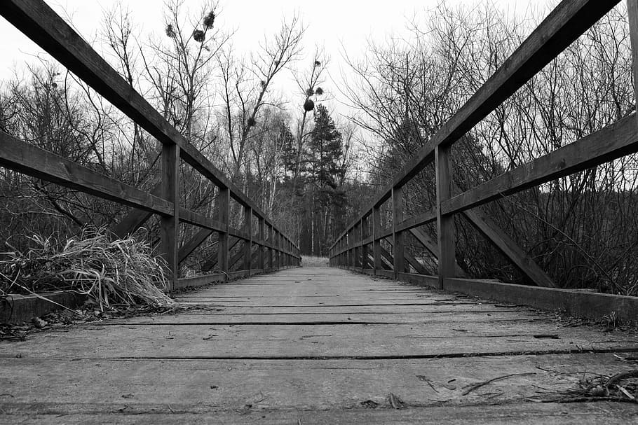 bridge, forest, nature, poland, tree, direction, the way forward HD wallpaper