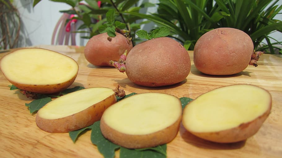 science west, potato, potatoes, food, food and drink, healthy eating HD wallpaper