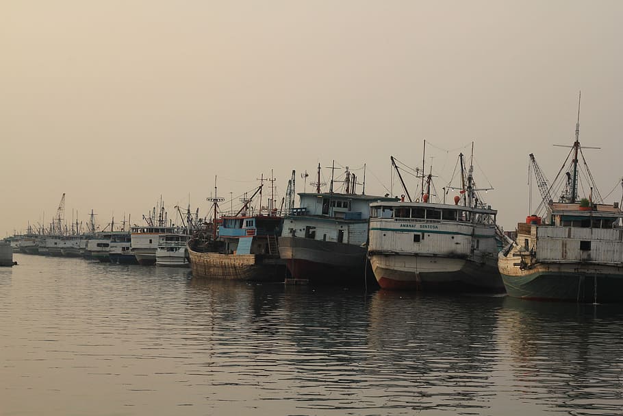Shipyard, Dock, Wood, Phinisi, wood ship, sunda kelapa, old dock HD wallpaper