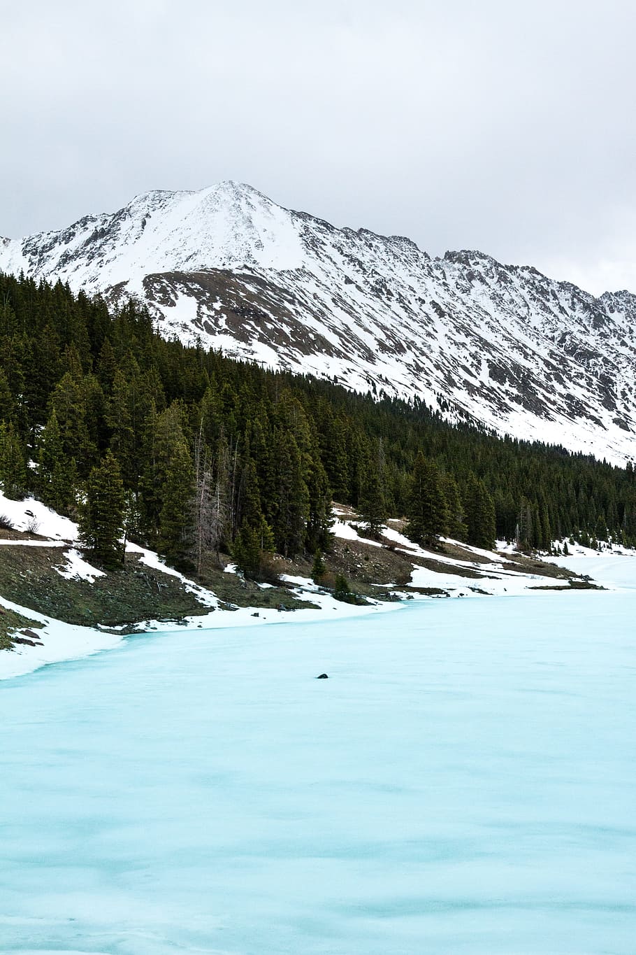 tall trees beside frosted body of water with mountain alps in distance, pine trees near snow capped mountain and sea at daytime HD wallpaper