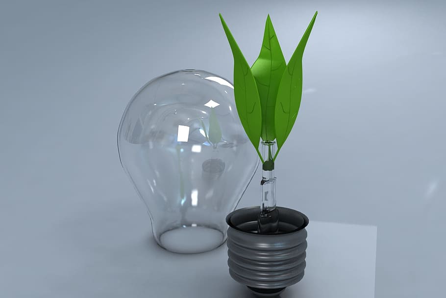 incandescent lamp, environment, light bulb, studio shot, no people HD wallpaper