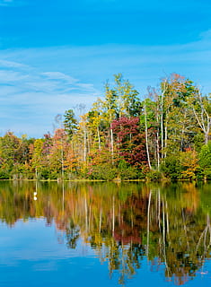 park, reflection, water, trees, autumn, fall, nature, landscape HD wallpaper