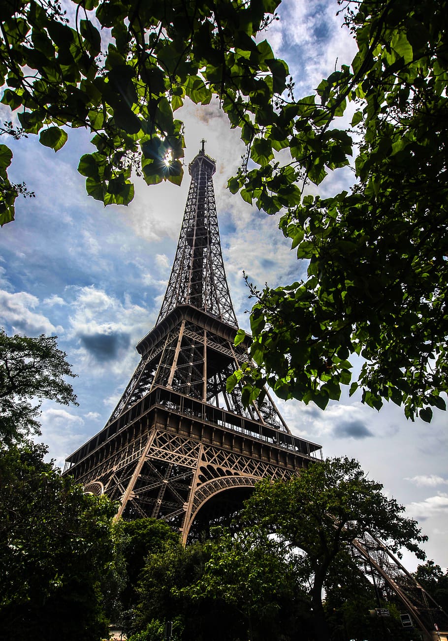 eiffel tower, paris, monument, foliage, day, france, tree, architecture HD wallpaper