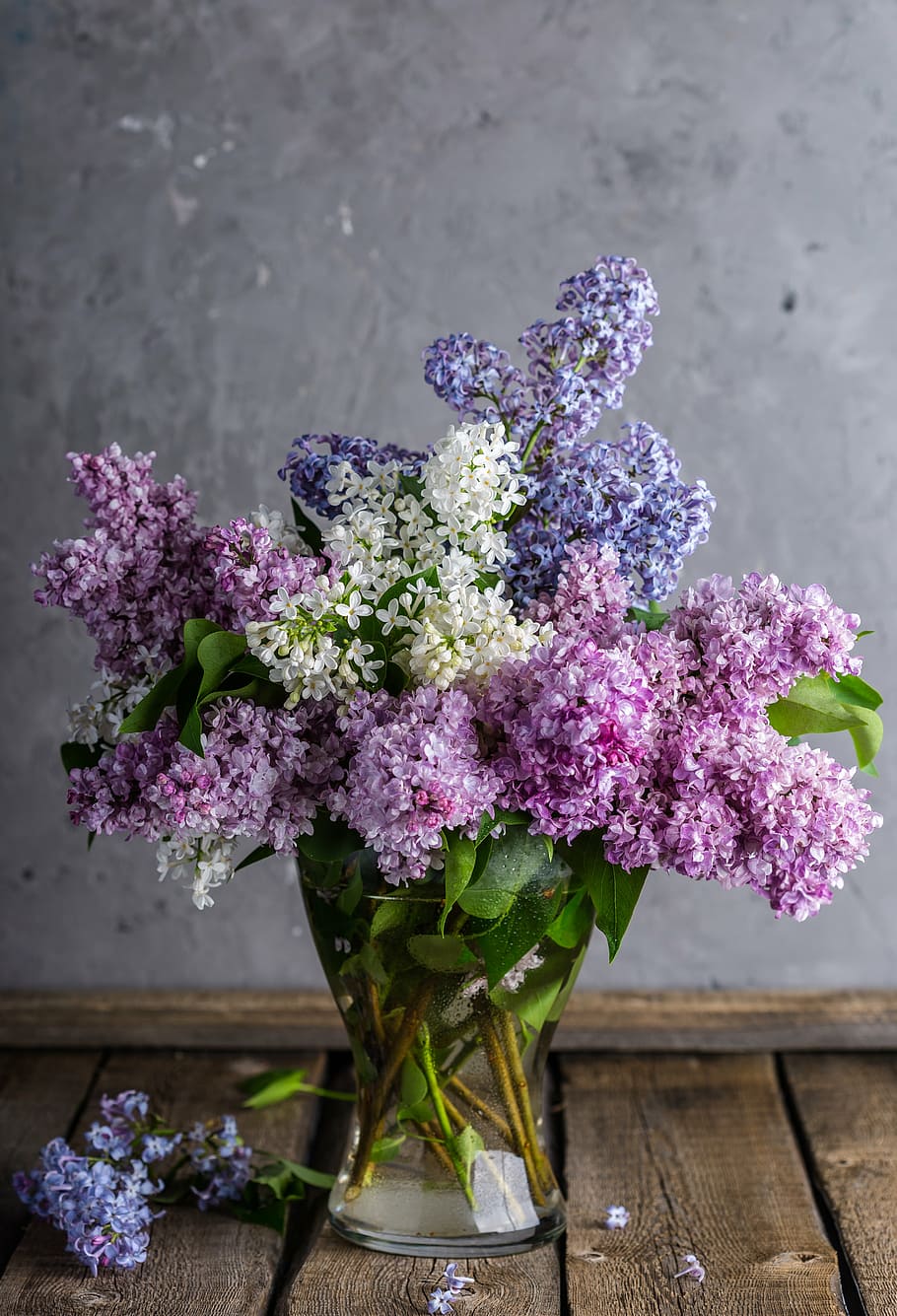 pink and purple petaled flowers with clear glass vase, lilac, HD wallpaper