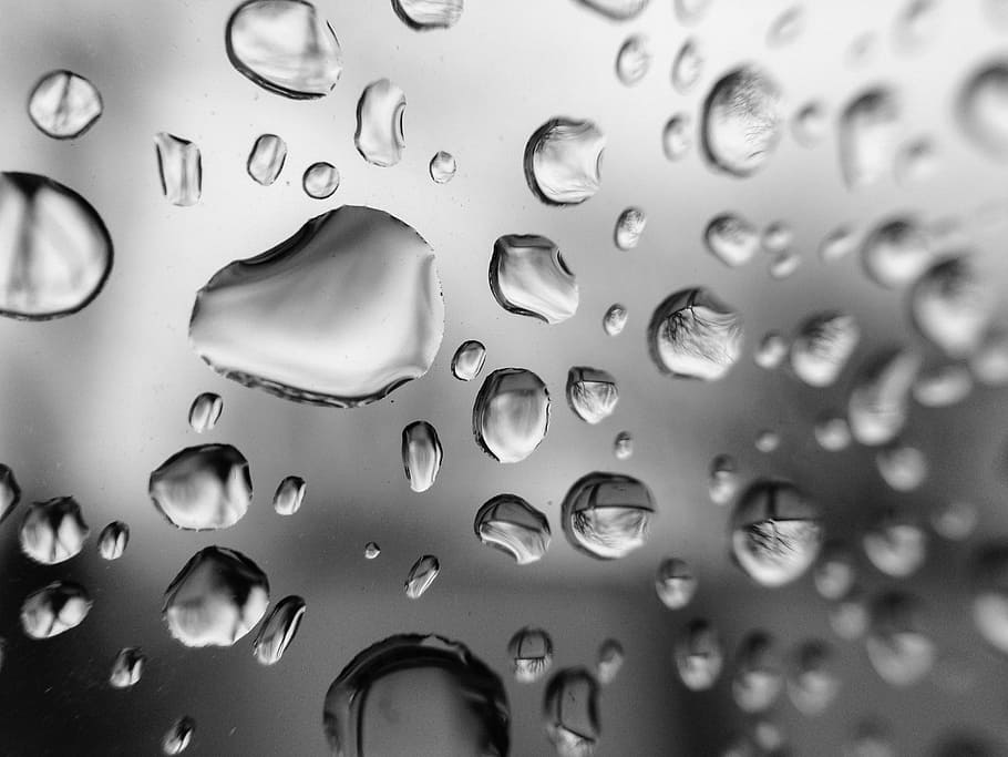 water dew, drops, rain, water drops, liquid, wet, raindrop HD wallpaper
