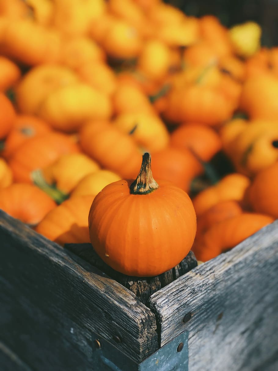 pumpkin on brown box, selective focus photo of pumpkin on wooden crate HD wallpaper