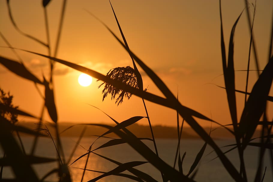 sunset, sea, coast, mood, clouds, red, france, brittany, sky HD wallpaper