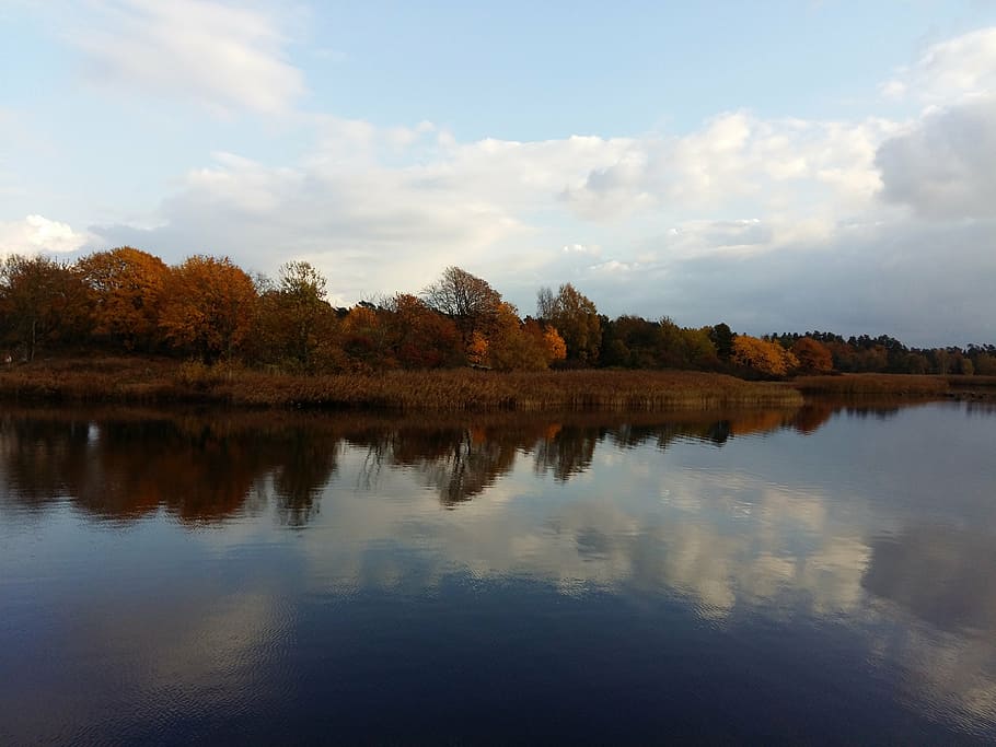trees, autumn, water, sky, day, nature, fall, yellow, orange HD wallpaper