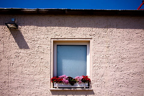 photography of red and pink petaled flowers on window at daytime, white wooden framed window on brown concrete building HD wallpaper