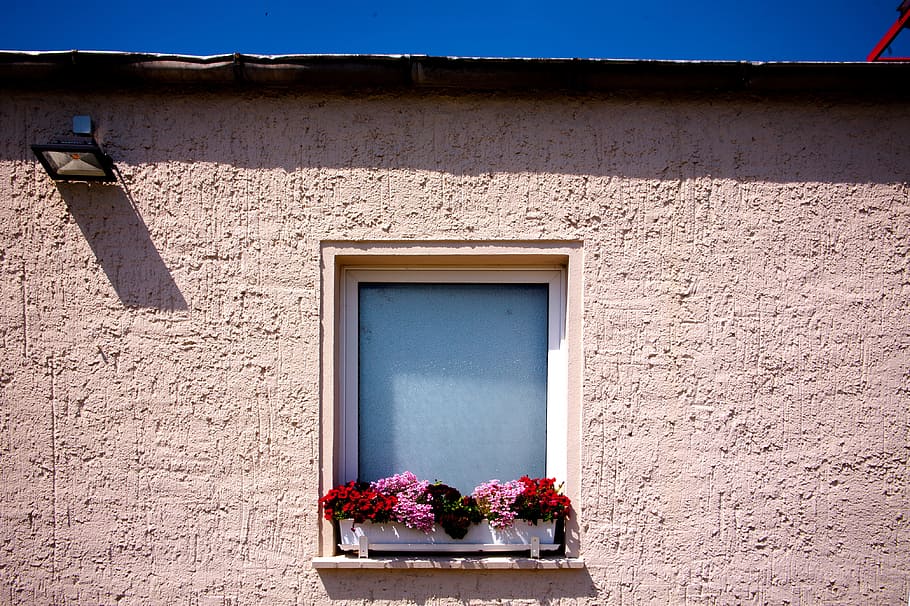 photography of red and pink petaled flowers on window at daytime, white wooden framed window on brown concrete building HD wallpaper