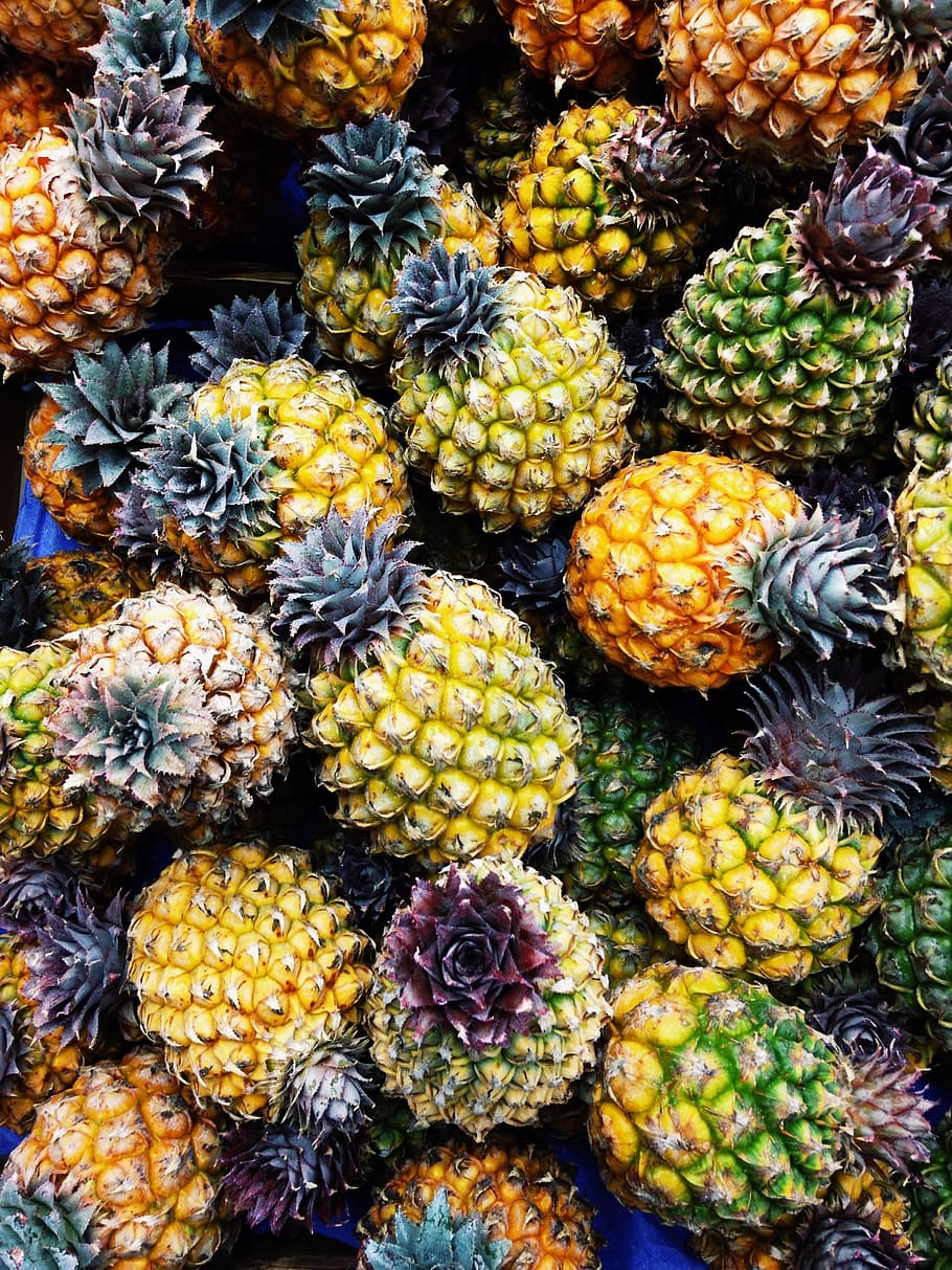 orange and green pineapple fruits, italy, vacation, backgrounds HD wallpaper