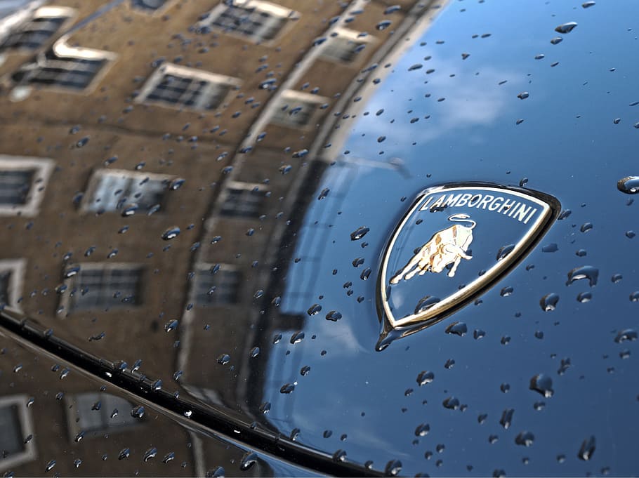 water dew on Lamborghini hood, car, badge, marque, bull, fast, HD wallpaper