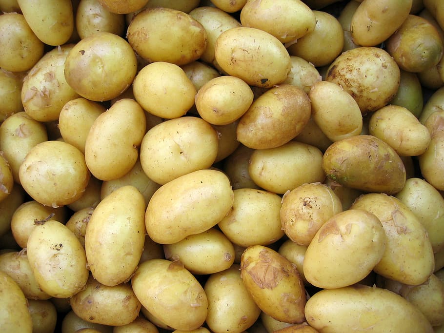 Royalty-Free photo: Brown potato lot