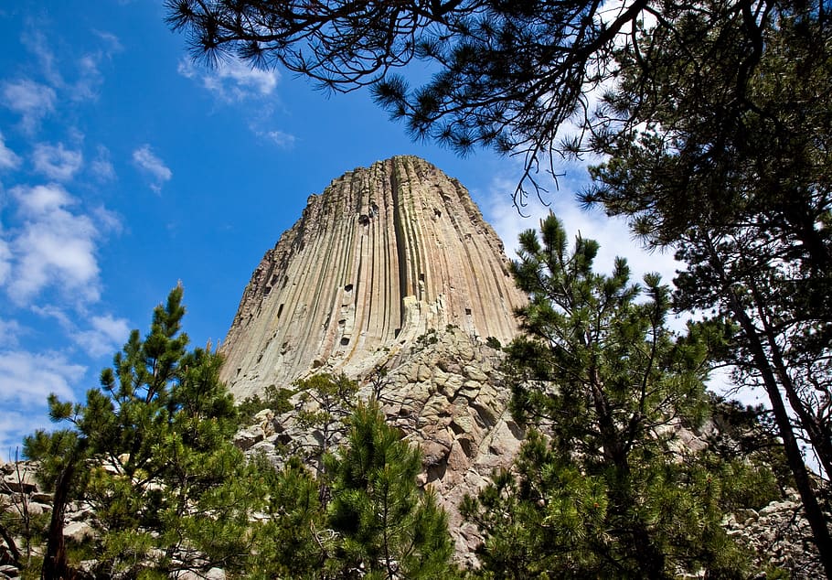 devils tower, trees, wyoming, monument, national, america, monolith, HD wallpaper