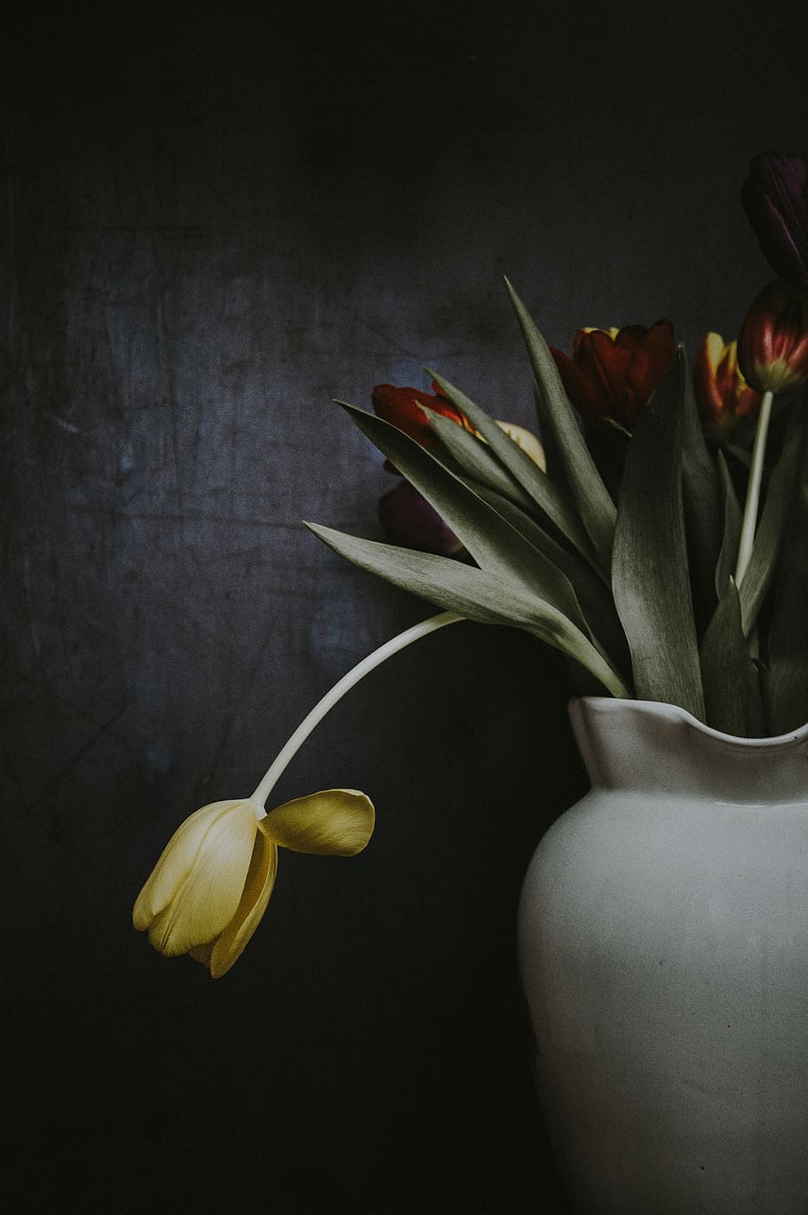 Hd Wallpaper Tulips On Dark Background Closeup Photo Of Red And Yellow Tulip Flowers On Vase Wallpaper Flare