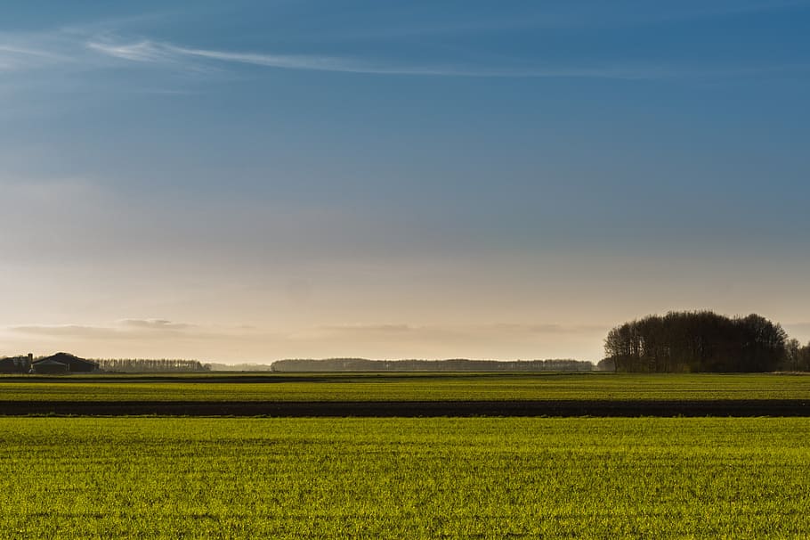 meadows, blue, green, sky, landscape, empty, rural, day, scene HD wallpaper