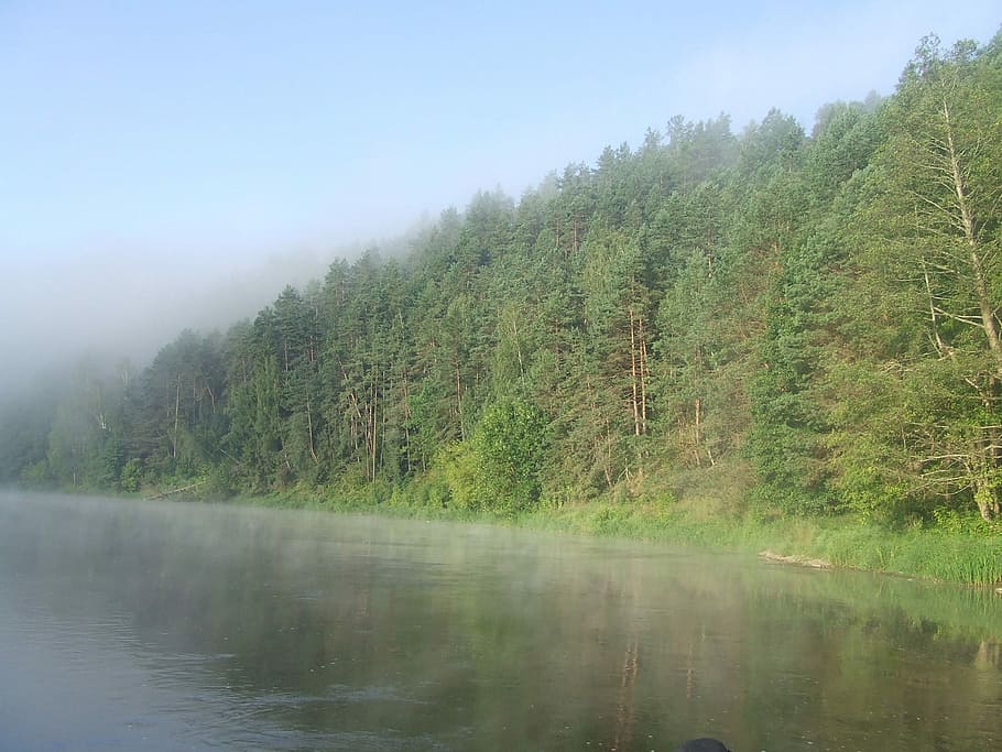 River, Neris, Lithuania, Landscape, wilderness, scenery, natural HD wallpaper