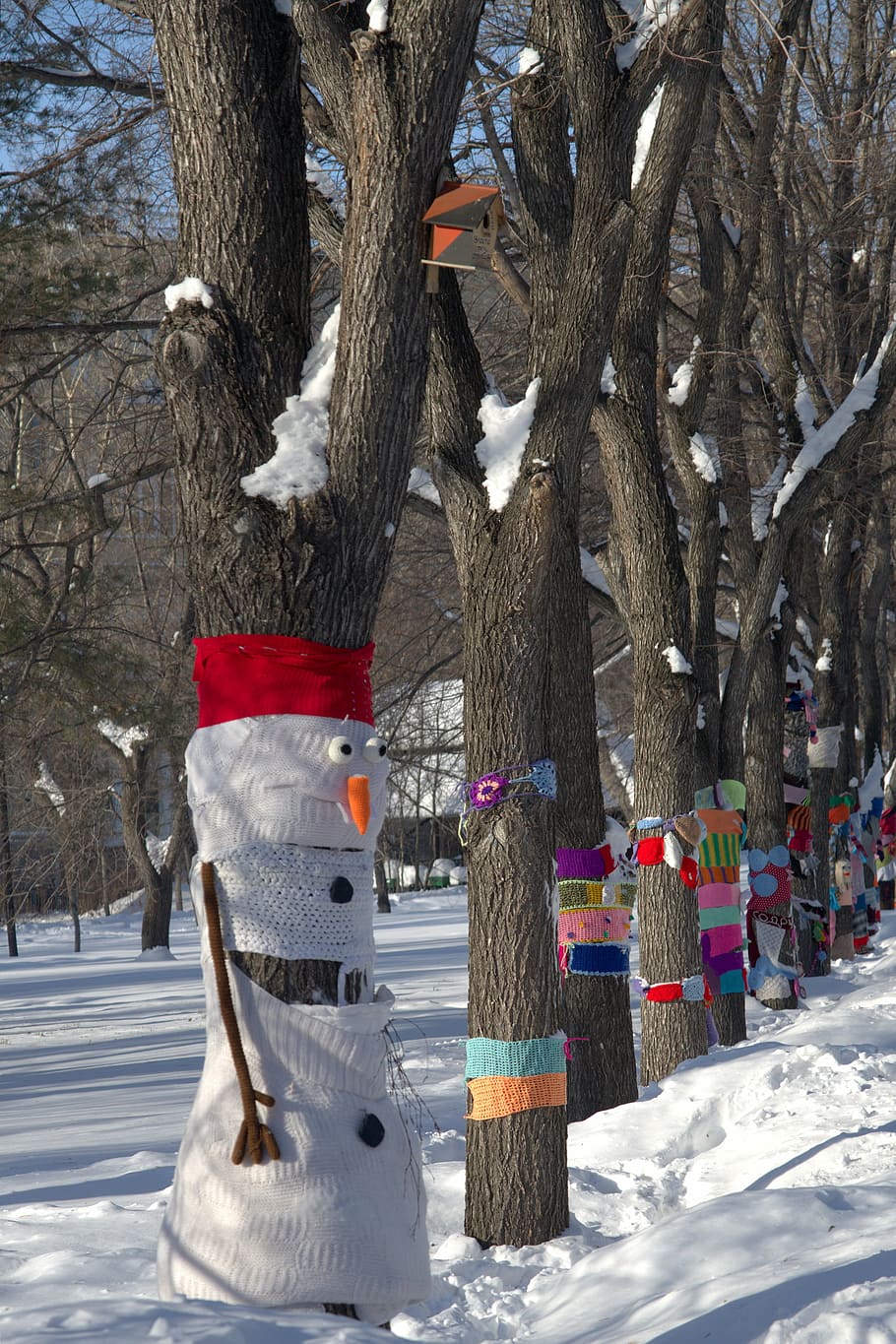 park, snow, winter, trees, nature, cold, city park, under the snow HD wallpaper